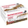 Winchester Ammo 22LR 36GR Plated Hollow – Case, 5250 Rounds